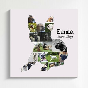 Hunde-Fotocollage "Französische Bulldogge" erstellen. Eigene Fotos, Namen und Texte. Hunde-Fotocollage "Französische Bulldogge" erstellen. Eigene Fotos, Namen und Texte.