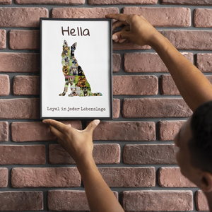 Hunde-Fotocollage "Deutscher Schäferhund" erstellen. Eigene Fotos, Namen und Texte. Hunde-Fotocollage "Deutscher Schäferhund" erstellen. Eigene Fotos, Namen und Texte.