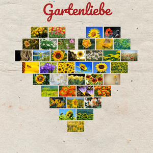 Collage in Herzform – Fotoleinwand für Ihre vier Wände erstellen Collage in Herzform – Fotoleinwand für Ihre vier Wände erstellen