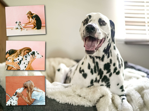 Collage mit Ihrem Lieblingsfoto als Hintergrundbild – 30x40cm Alu-Dibond Collage mit Ihrem Lieblingsfoto als Hintergrundbild – 30x40cm Alu-Dibond