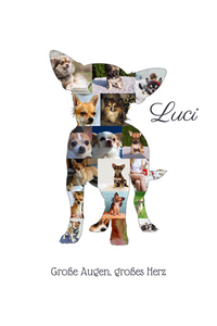 Hunde-Fotocollage "Chihuahua" erstellen. Eigene Fotos, Namen und Texte. Hunde-Fotocollage "Chihuahua" erstellen. Eigene Fotos, Namen und Texte.