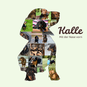 Hunde-Fotocollage "Dackel" erstellen. Eigene Fotos, Namen und Texte. Hunde-Fotocollage "Dackel" erstellen. Eigene Fotos, Namen und Texte.