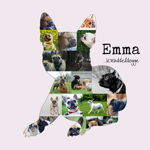 Hunde-Fotocollage "Französische Bulldogge" erstellen. Eigene Fotos, Namen und Texte. Hunde-Fotocollage "Französische Bulldogge" erstellen. Eigene Fotos, Namen und Texte.