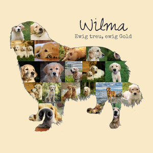 Hunde-Fotocollage "Golden Retriever" erstellen. Eigene Fotos, Namen und Texte. Hunde-Fotocollage "Golden Retriever" erstellen. Eigene Fotos, Namen und Texte.