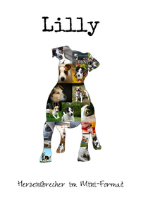 Hunde-Fotocollage "Jack Russell Terrier" erstellen. Eigene Fotos, Namen und Texte. Hunde-Fotocollage "Jack Russell Terrier" erstellen. Eigene Fotos, Namen und Texte.