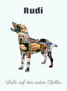 Hunde-Fotocollage "Labrador" erstellen. Eigene Fotos, Namen und Texte. Hunde-Fotocollage "Labrador" erstellen. Eigene Fotos, Namen und Texte.