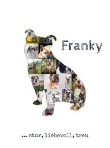 Hunde-Fotocollage "Old English Bulldog" erstellen. Eigene Fotos, Namen und Texte. Hunde-Fotocollage "Old English Bulldog" erstellen. Eigene Fotos, Namen und Texte.