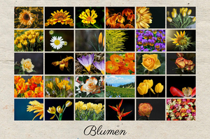 Postercollage mit individuellem Text – Raster mit 6x5 Fotos Postercollage mit individuellem Text – Raster mit 6x5 Fotos
