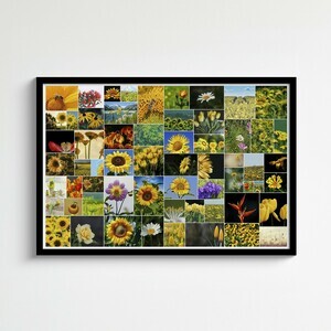 Fotocollage mit 61 Bildern in wilder Anordnung – Poster 50x75cm Fotocollage mit 61 Bildern in wilder Anordnung – Poster 50x75cm