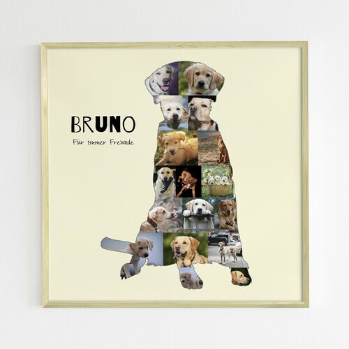 Hunde-Fotocollage "Labrador" erstellen. Eigene Fotos, Namen und Texte.