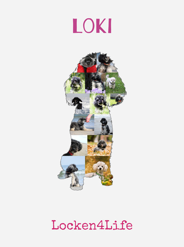 Hunde-Fotocollage "Zwergpudel" erstellen. Eigene Fotos, Namen und Texte.