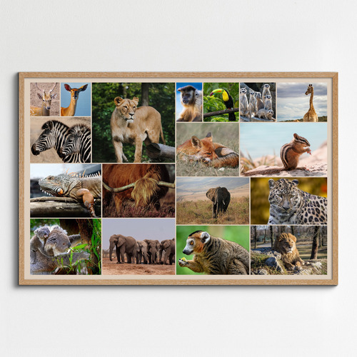 Tierfoto-Collage erstellen – Premiumdruck deiner Natur- & Wildtierfotos online