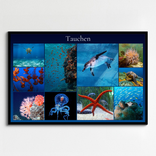 Unterwasser-Tierfoto-Collage online erstellen – deine Tauchmotive als Premium-Druck