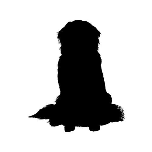 Hundesilhouette Berner Sennenhund sitzend