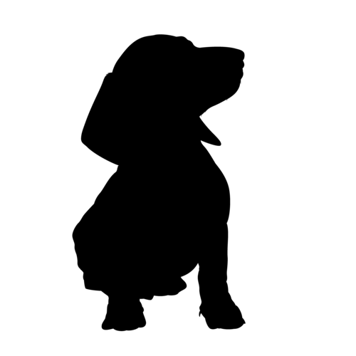 Hundesilhouette Dackel sitzend