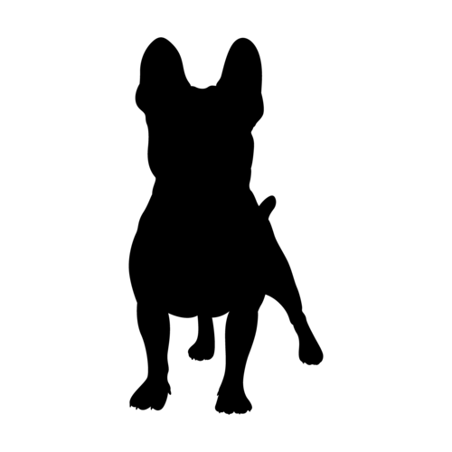 Hundesilhouette Französische Bulldogge stehend