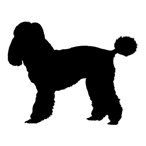 Hundesilhouette Pudel stehend