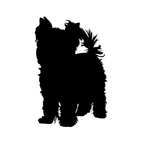 Hundesilhouette Yorkshire Terrier stehend